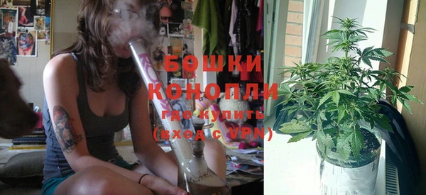 твердый Осинники