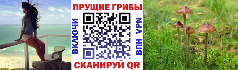Псилоцибиновые грибы ЛСД  Невельск 